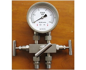 宣城差压表带三阀组